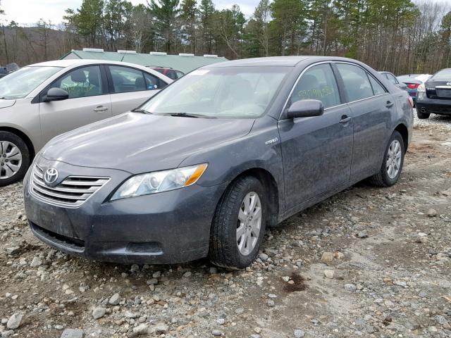 4T1BB46KX9U092898 - 2009 TOYOTA CAMRY HYBR GRAY photo 2