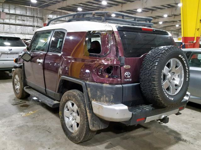 JTEBU11F670032978 - 2007 TOYOTA FJ CRUISER PURPLE photo 3