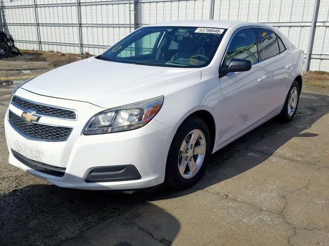 1G11B5SA8DF170362 - 2013 CHEVROLET MALIBU LS თეთრი ფოტო 2
