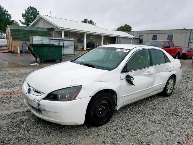 JHMCM563X7C024233 - 2007 HONDA ACCORD SE WHITE photo 2