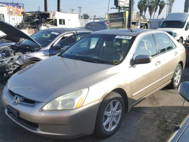 1HGCM66583A023985 - 2003 HONDA ACCORD GOLD photo 2