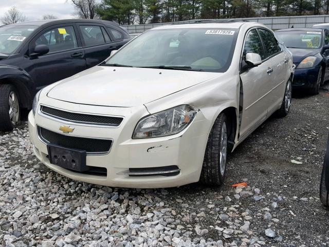 1G1ZD5E04CF226182 - 2012 CHEVROLET MALIBU 2LT CREAM photo 2