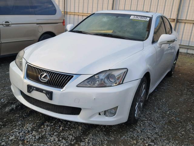 JTHBK262995090853 - 2009 LEXUS IS 250 WHITE photo 2