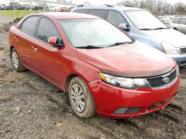 KNAFU4A22A5291124 - 2010 KIA FORTE EX RED photo 1