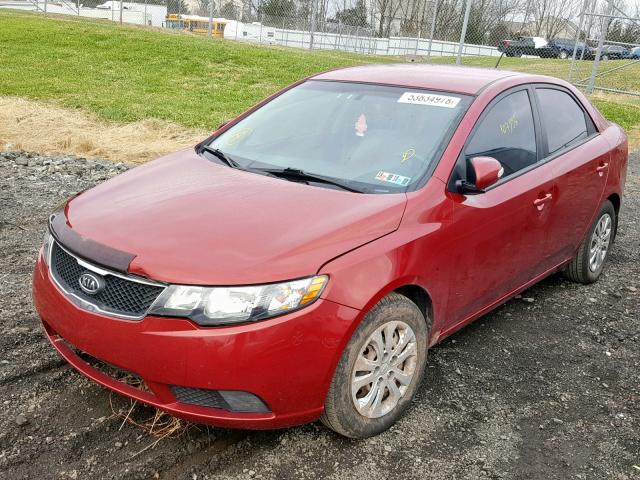 KNAFU4A22A5291124 - 2010 KIA FORTE EX RED photo 2