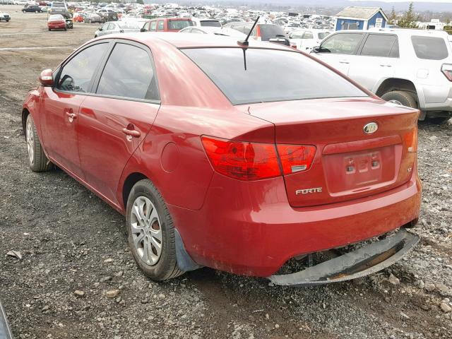 KNAFU4A22A5291124 - 2010 KIA FORTE EX RED photo 3