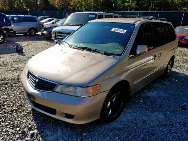 2HKRL18621H529208 - 2001 HONDA ODYSSEY EX GOLD photo 2