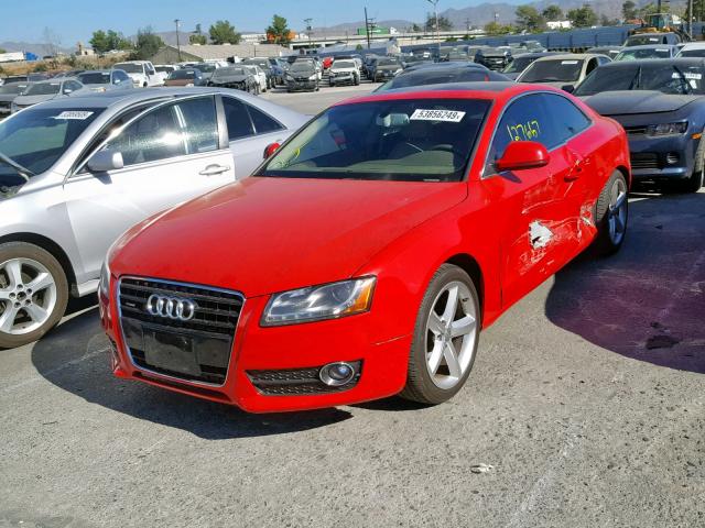 WAUDK78T19A029367 - 2009 AUDI A5 QUATTRO RED photo 2