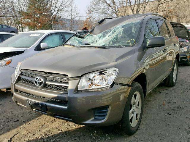 2T3BF4DV3CW264303 - 2012 TOYOTA RAV4 GOLD photo 2