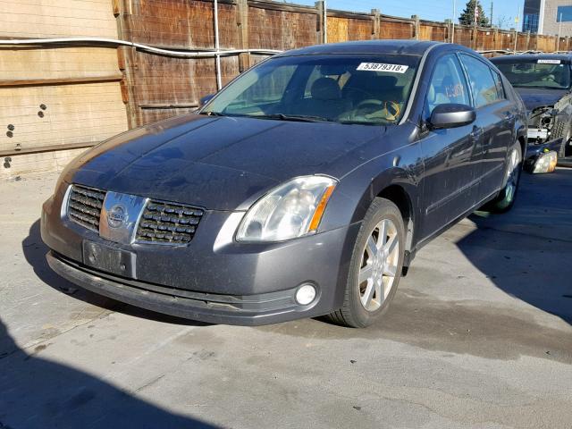 1N4BA41E56C858505 - 2006 NISSAN MAXIMA SE GRAY photo 2