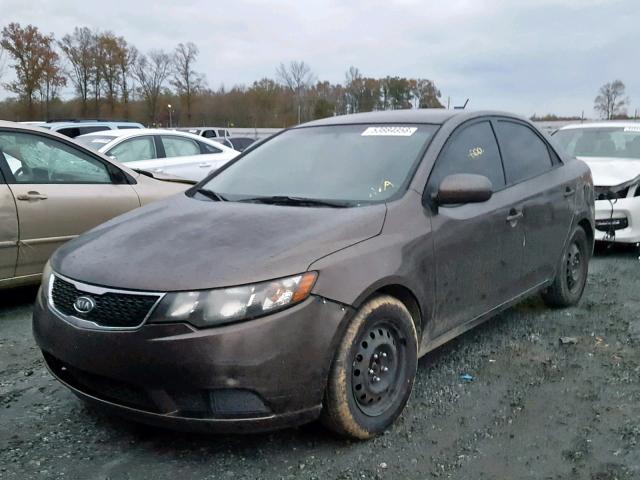 KNAFU4A26C5581725 - 2012 KIA FORTE EX BROWN photo 2