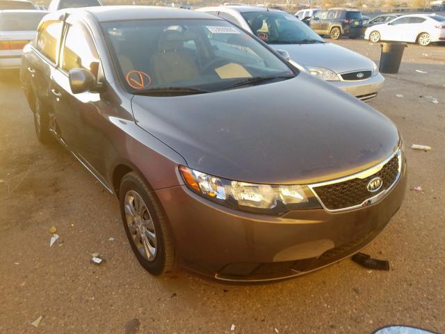 KNAFU4A25D5665813 - 2013 KIA FORTE EX GRAY photo 1