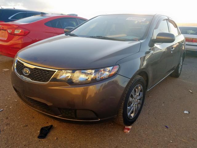 KNAFU4A25D5665813 - 2013 KIA FORTE EX GRAY photo 2