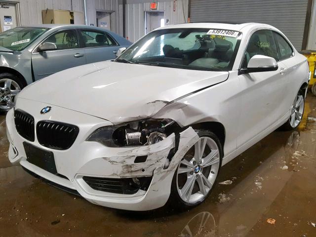 WBA1F7C58FV367580 - 2015 BMW 228 XI WHITE photo 2