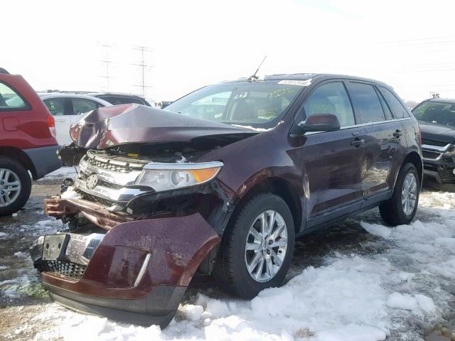 2FMDK4KC3BBA89683 - 2011 FORD EDGE LIMIT PURPLE photo 2