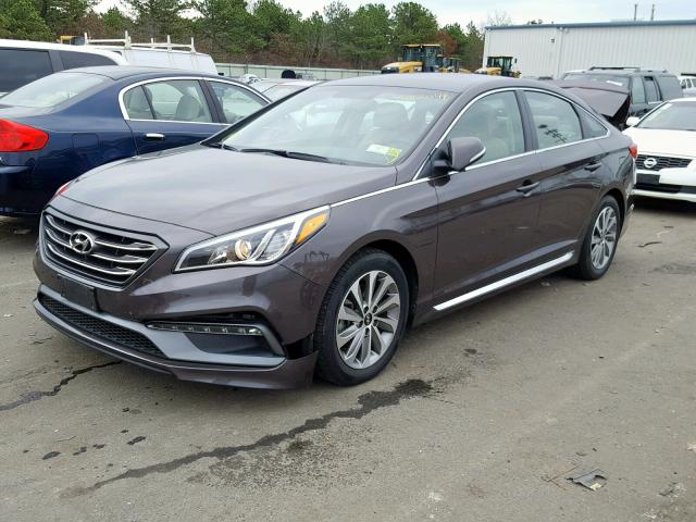 5NPE34AF7GH327306 - 2016 HYUNDAI SONATA SPO BROWN photo 2