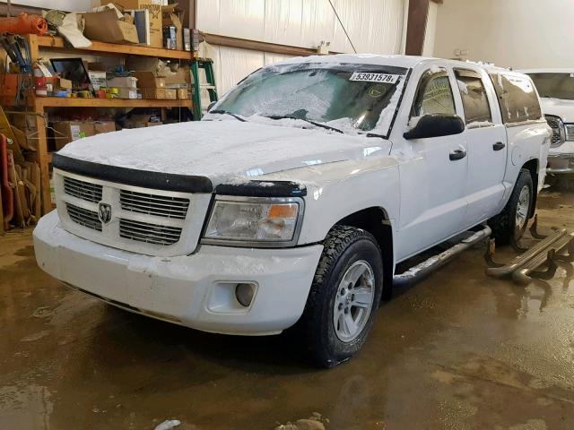 1D7HW38N48S559981 - 2008 DODGE DAKOTA SXT WHITE photo 2