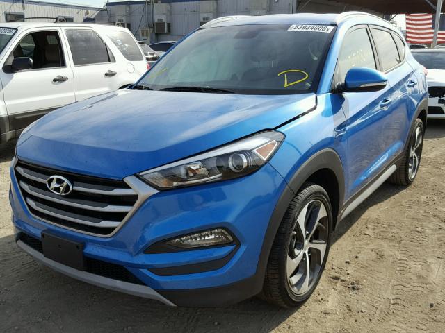 KM8J33A27HU463184 - 2017 HYUNDAI TUCSON LIM BLUE photo 2