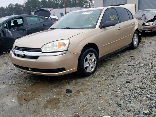 1G1ZT52805F182102 - 2005 CHEVROLET MALIBU LS Qızıl foto 2