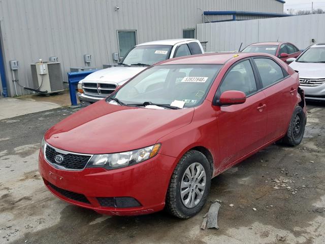 KNAFU4A21D5656106 - 2013 KIA FORTE EX RED photo 2