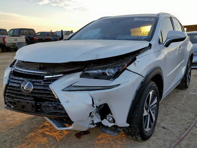 JTJYARBZ6J2092637 - 2018 LEXUS NX 200T WHITE photo 2