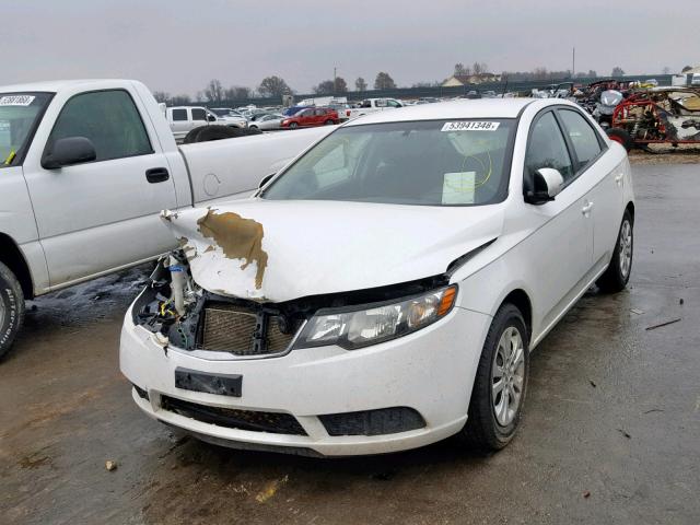 KNAFU4A26C5598671 - 2012 KIA FORTE EX WHITE photo 2