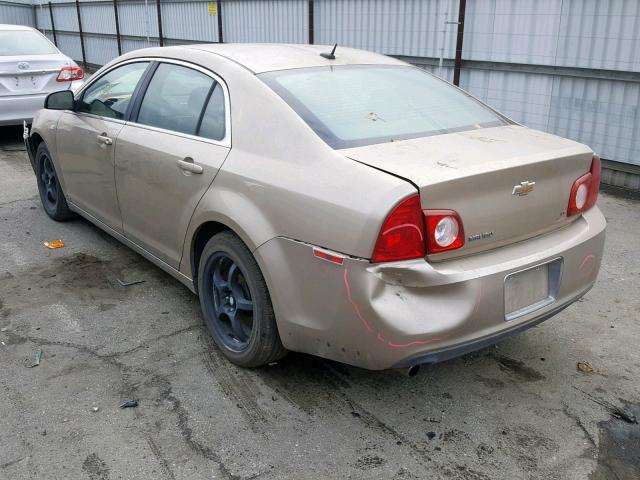 1G1ZH57BX8F256135 - 2008 CHEVROLET MALIBU 1LT GOLD photo 3