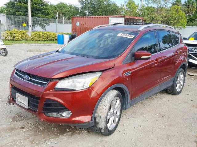 1FMCU0J93EUA43242 - 2014 FORD ESCAPE TIT ORANGE photo 2