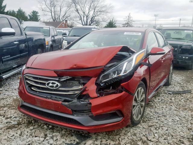 5NPE34AF9FH236729 - 2015 HYUNDAI SONATA SPO BURGUNDY photo 2