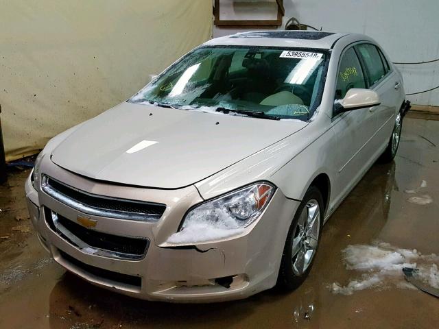 1G1ZH57BX9F236534 - 2009 CHEVROLET MALIBU 1LT ოქროსფერი ფოტო 2