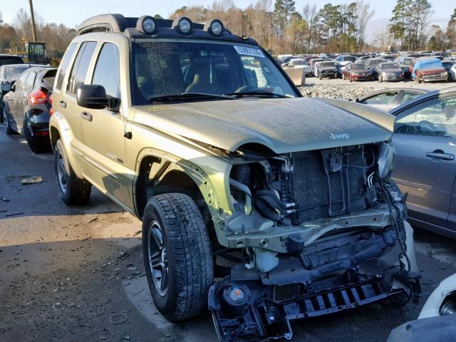 1J4GL38K43W690747 - 2003 JEEP LIBERTY RE GREEN photo 1