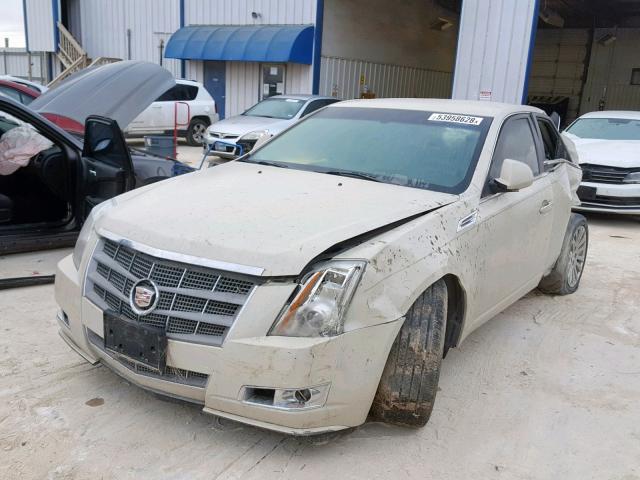 1G6DJ5EV3A0108780 - 2010 CADILLAC CTS PERFOR CREAM photo 2