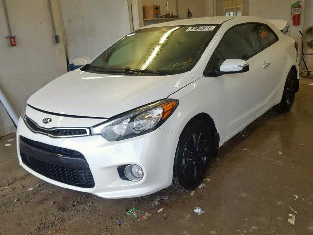 KNAFX6A86E5249276 - 2014 KIA FORTE EX WHITE photo 2