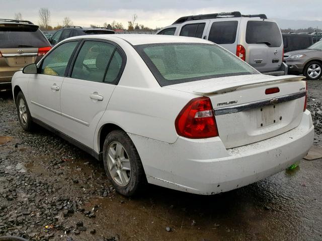 1G1ZT54875F209731 - 2005 CHEVROLET MALIBU LS 白色 照片 3