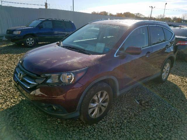 5J6RM4H74EL021339 - 2014 HONDA CR-V EXL BURGUNDY photo 2