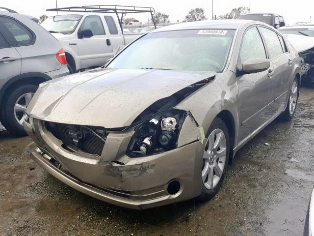 1N4BA41E78C818767 - 2008 NISSAN MAXIMA SE GOLD photo 2