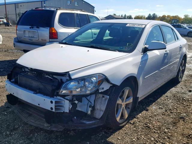 1G1ZC5E13BF298968 - 2011 CHEVROLET MALIBU 1LT 白色 照片 2
