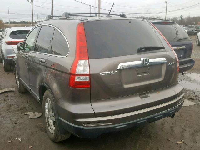 5J6RE4H73AL086240 - 2010 HONDA CR-V EXL BROWN photo 3