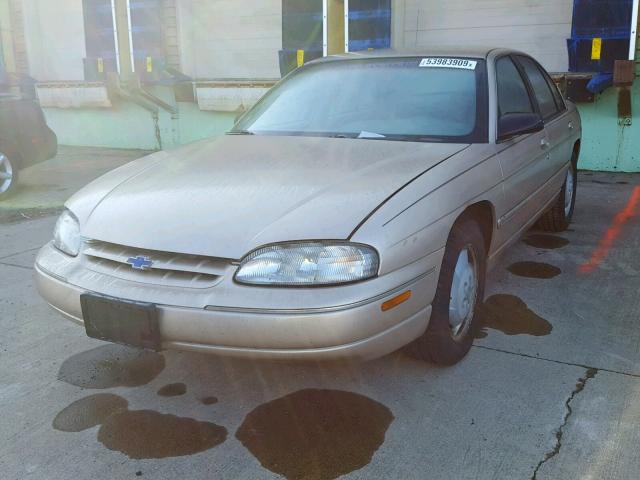 2G1WL52M5W9181716 - 1998 CHEVROLET LUMINA BAS თაფლისფერი ფოტო 2