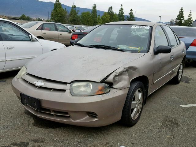 1G1JF52F037163186 - 2003 CHEVROLET CAVALIER L GOLD photo 2