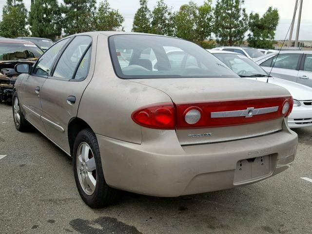 1G1JF52F037163186 - 2003 CHEVROLET CAVALIER L GOLD photo 3