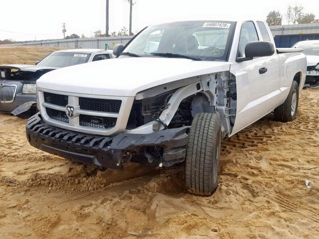 1D7RE3BK4BS648835 - 2011 DODGE DAKOTA SLT WHITE photo 2