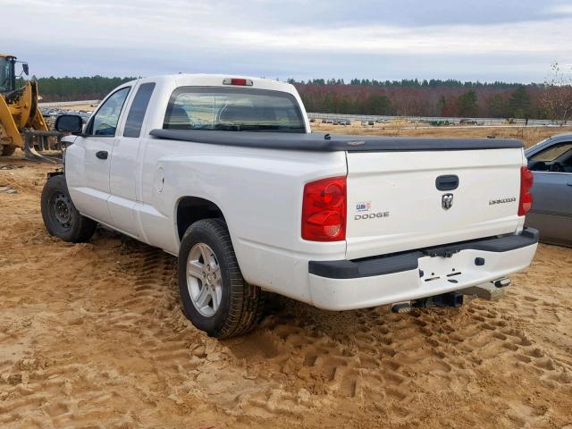 1D7RE3BK4BS648835 - 2011 DODGE DAKOTA SLT WHITE photo 3