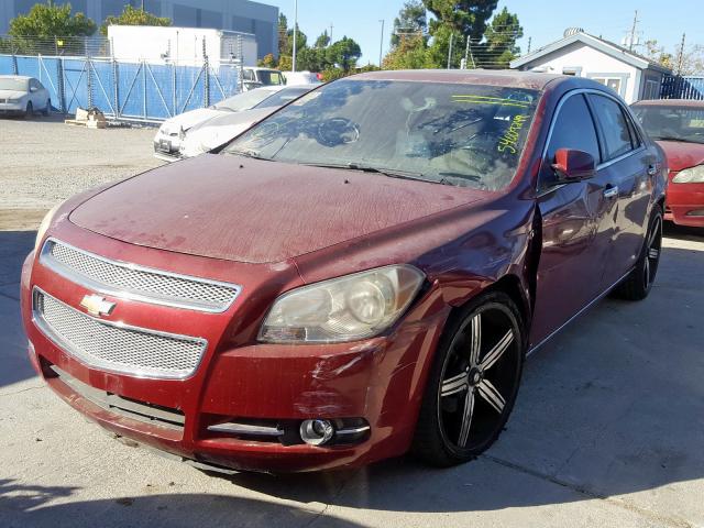 1G1ZK57798F189668 - 2008 CHEVROLET MALIBU LTZ წითელი ფოტო 2