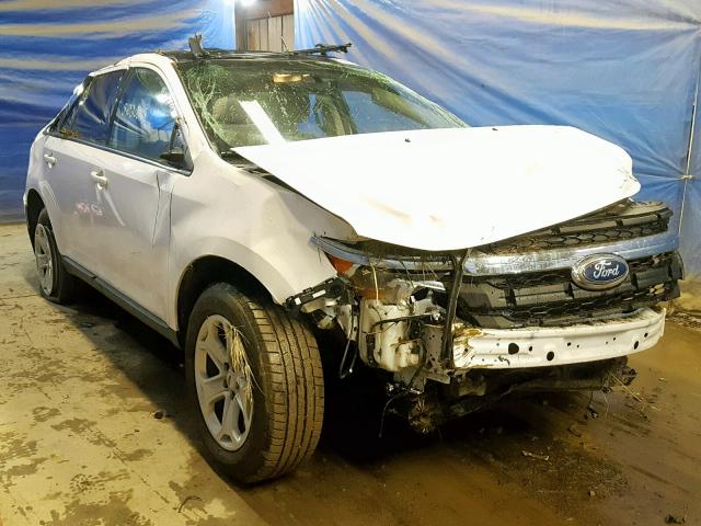 2FMDK4JC3CBA85815 - 2012 FORD EDGE SEL WHITE photo 1