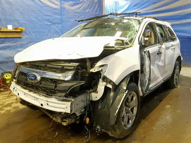 2FMDK4JC3CBA85815 - 2012 FORD EDGE SEL WHITE photo 2