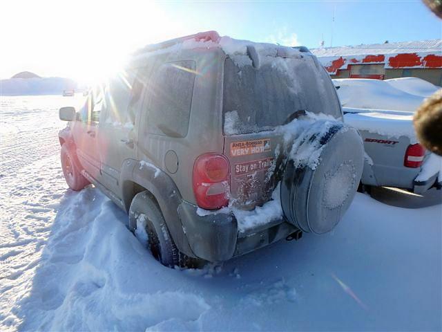 1J4GL38K45W659095 - 2005 JEEP LIBERTY RE GRAY photo 3