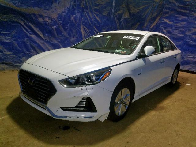 KMHE24L34KA091652 - 2019 HYUNDAI SONATA HYB WHITE photo 2