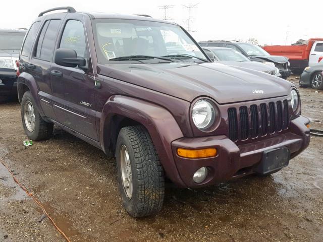 1J4GK58KX4W202806 - 2004 JEEP LIBERTY LI PURPLE photo 1