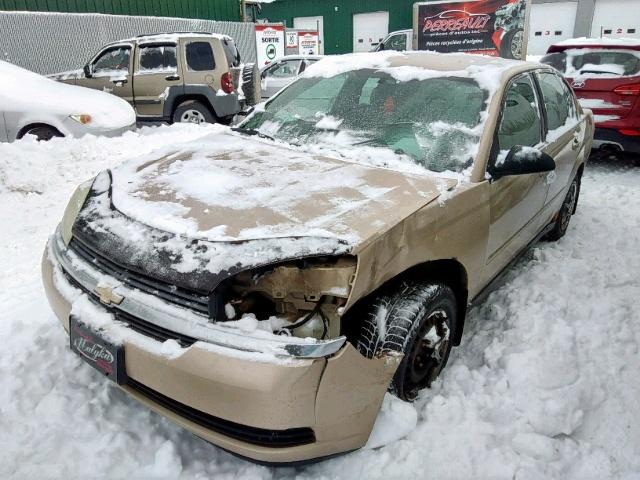 1G1ZT52885F303331 - 2005 CHEVROLET MALIBU LS 金色 照片 2